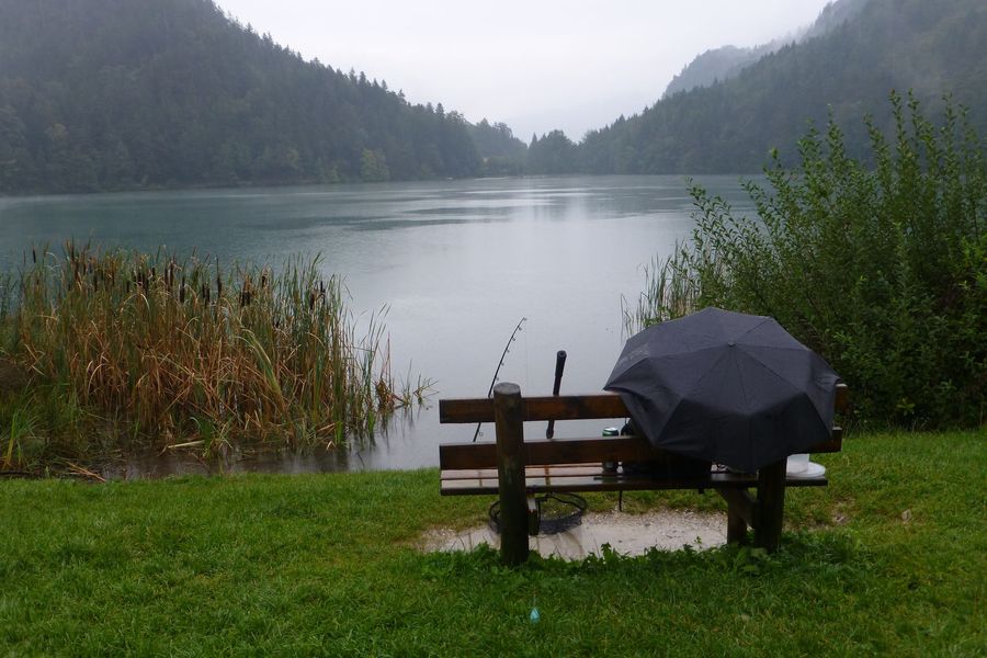 Alatsee